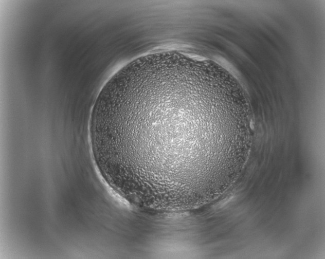 X0000067341055200604030954