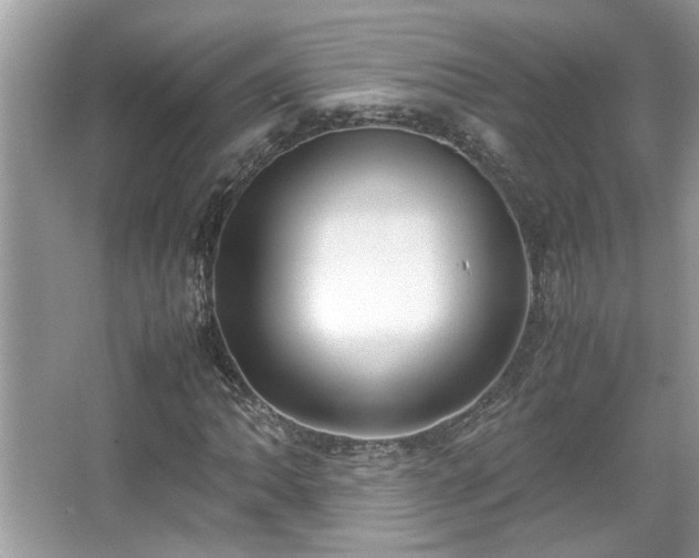 X0000067341062200604030953