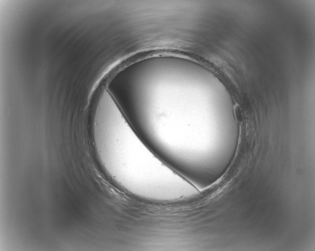 X0000067341069200604030953