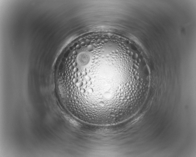 X0000067341075200604030953