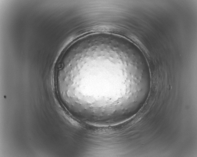 X0000067341083200604030953