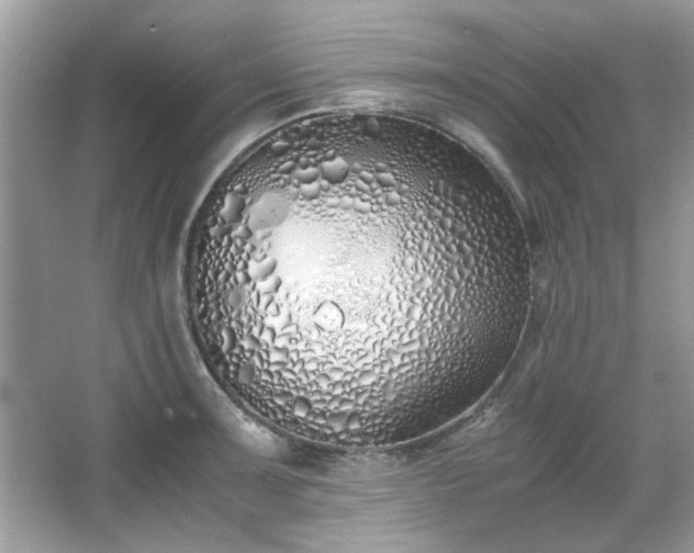 X0000067341091200604030953
