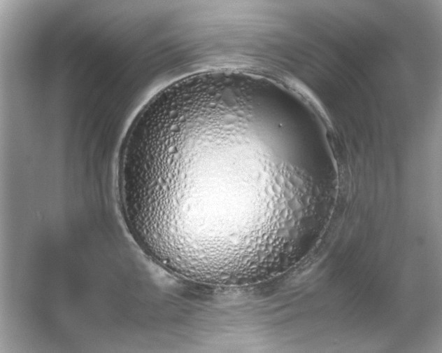 X0000067341099200604030953