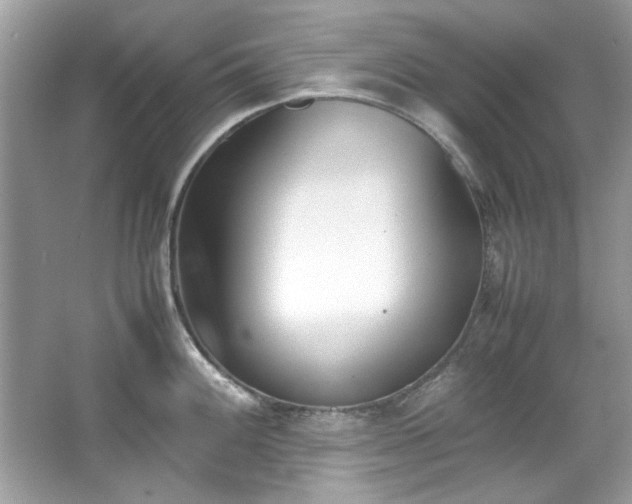 X0000067341100200604030953