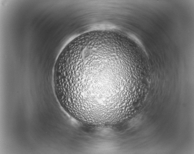 X0000067341103200604030952