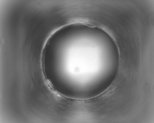 X0000067341104200604030952