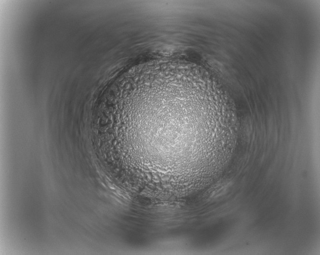 X0000067341105200604030952