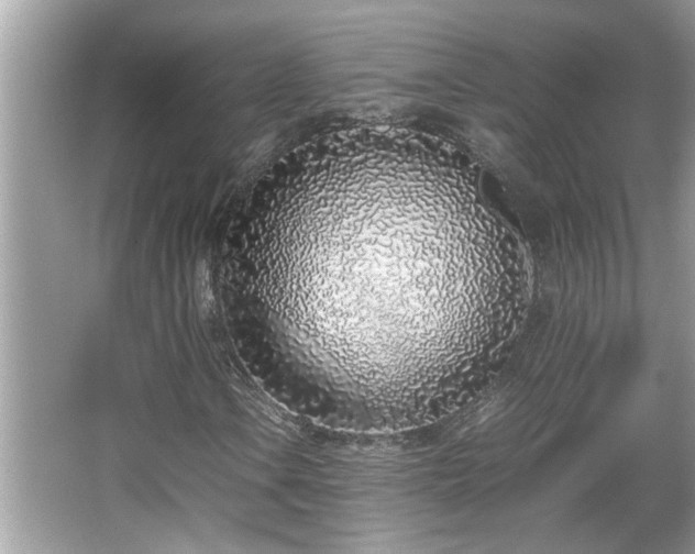 X0000067341106200604030952