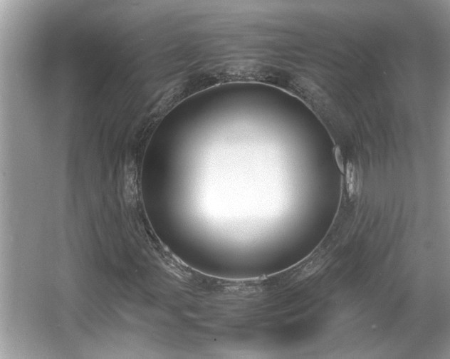 X0000067341107200604030952