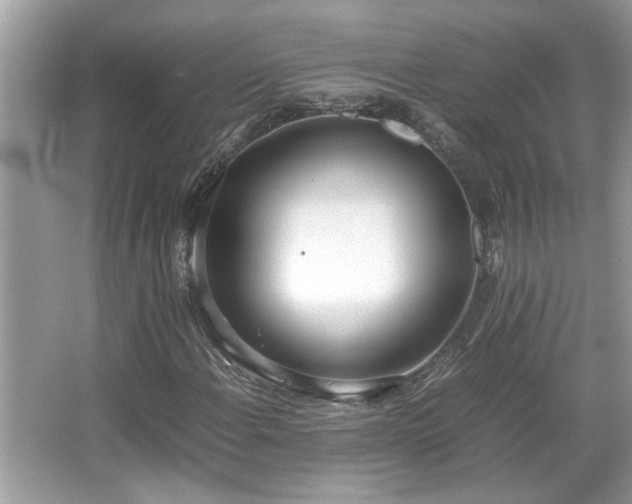 X0000067341108200604030952