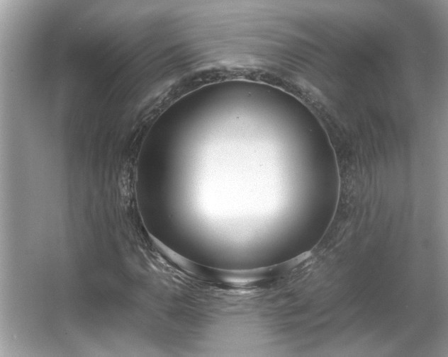 X0000067341110200604030952
