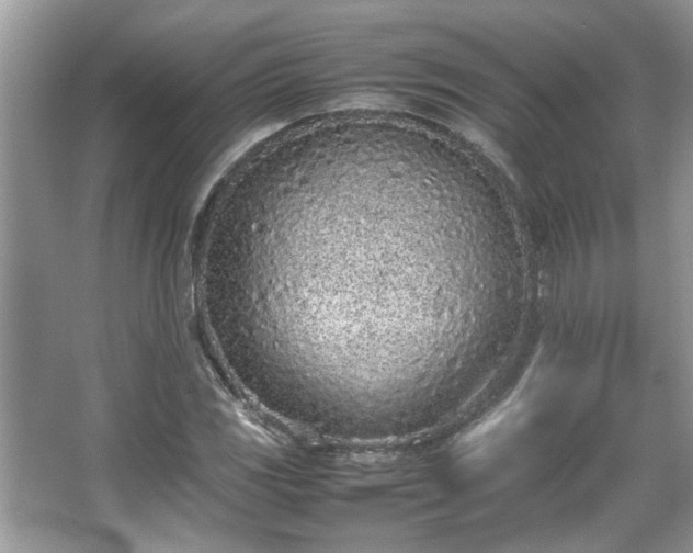 X0000067341117200604030952