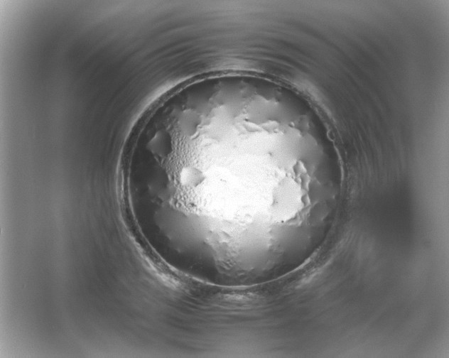 X0000067341125200604030952