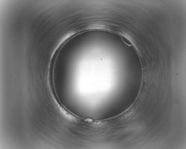 X0000067341139200604030952