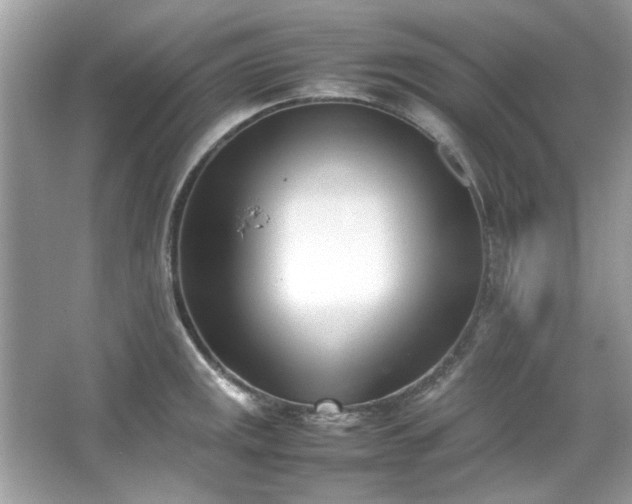X0000067341141200604030952