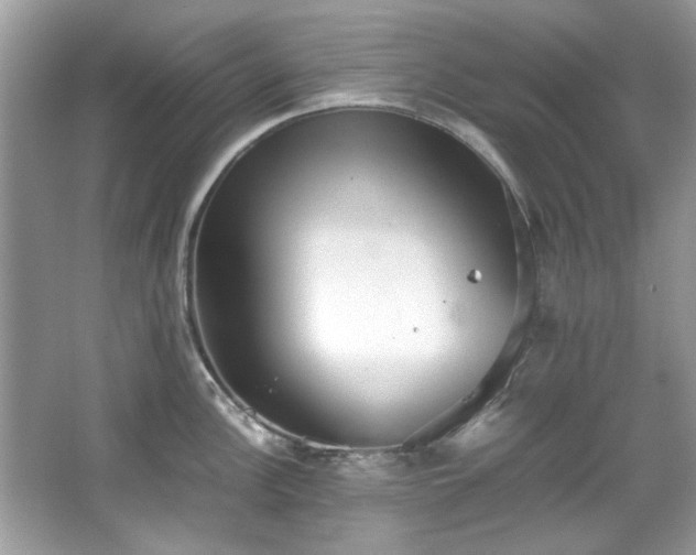 X0000067341148200604030952