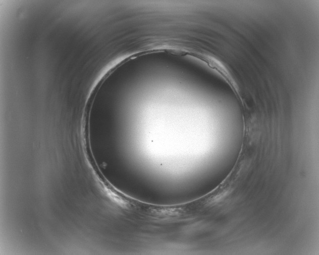 X0000067341149200604030952