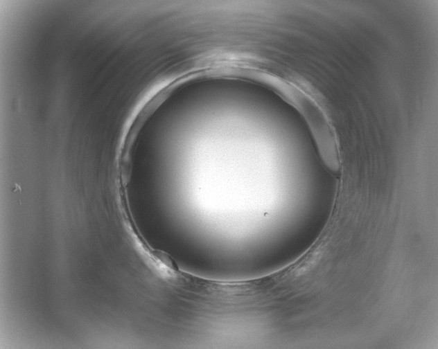 X0000067341152200604030952