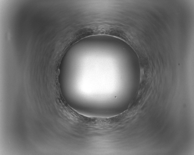 X0000067341153200604030952