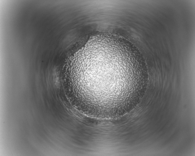 X0000067341154200604030952