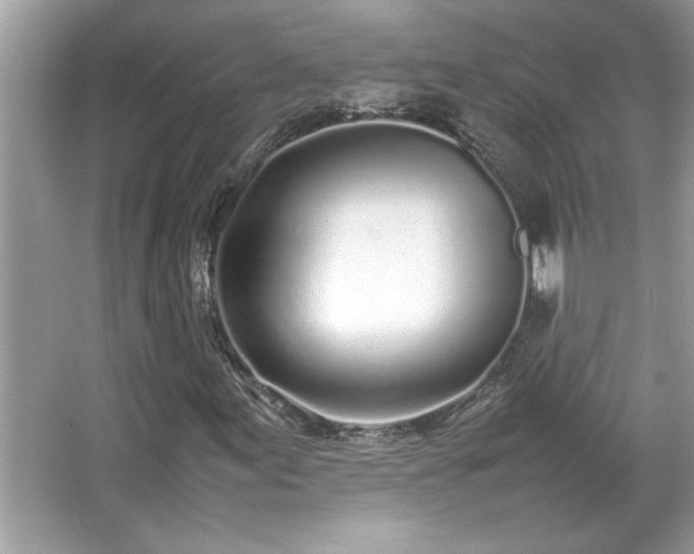 X0000067341155200604030952
