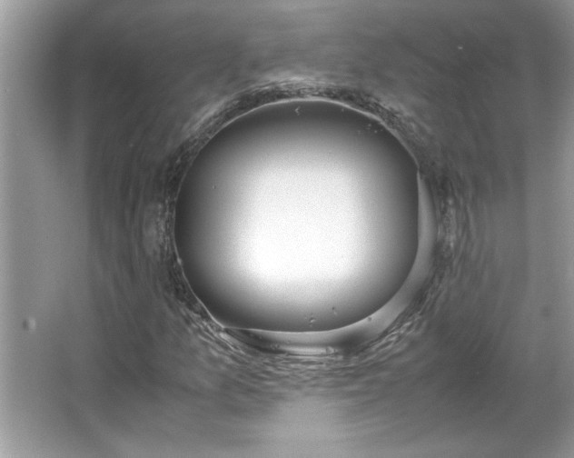 X0000067341157200604030952