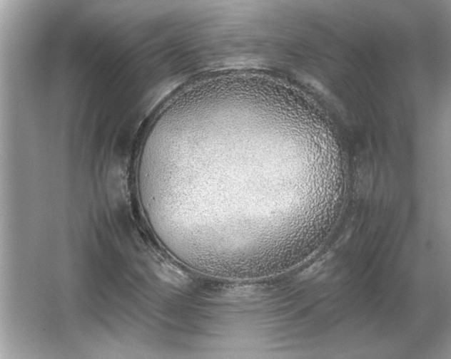 X0000067341162200604030951