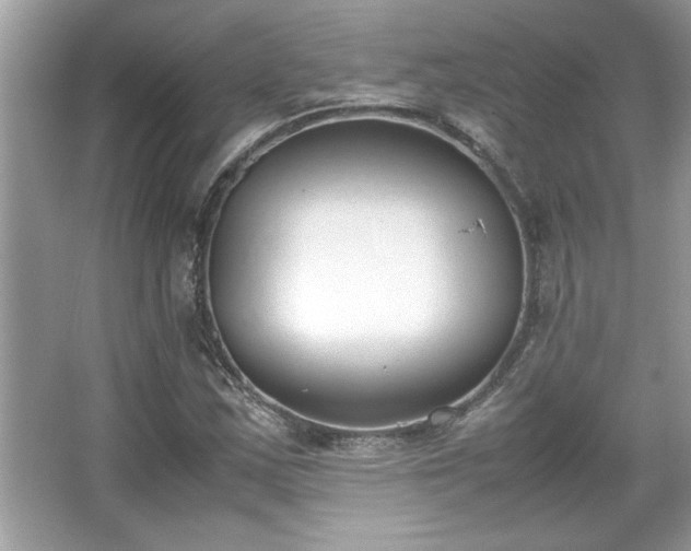 X0000067341163200604030951