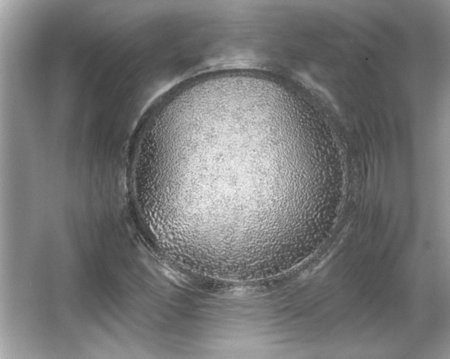 X0000067341166200604030951