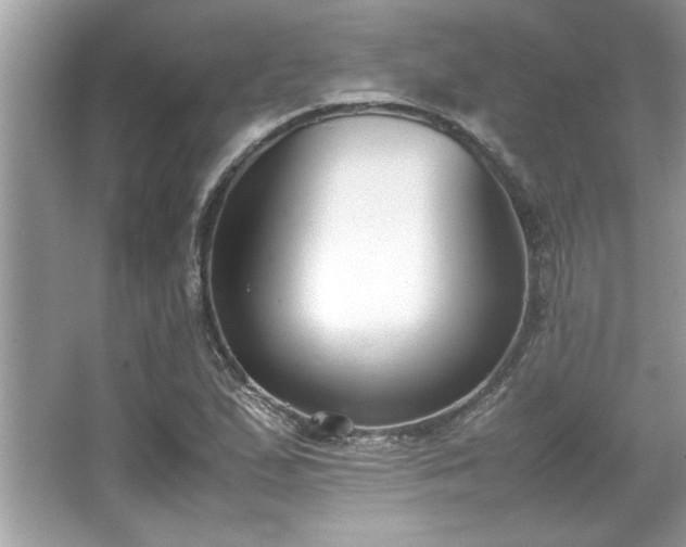 X0000067341167200604030951