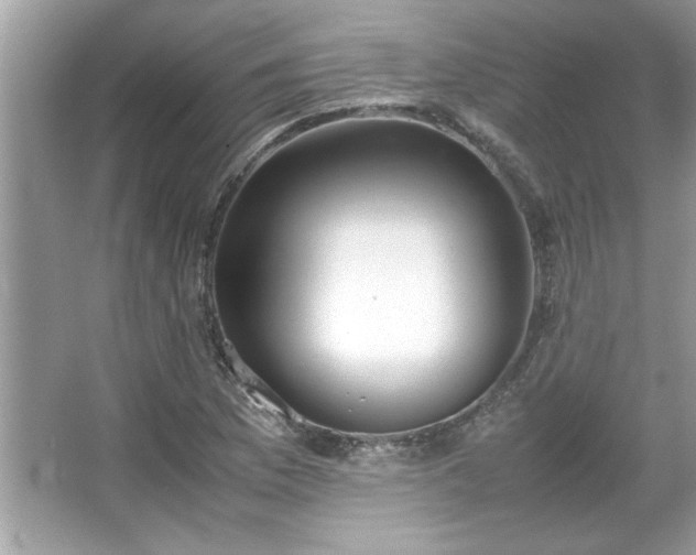 X0000067341169200604030951