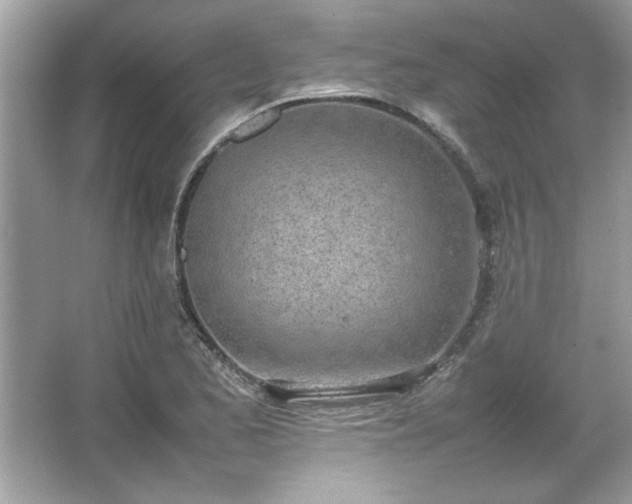 X0000067341173200604030951