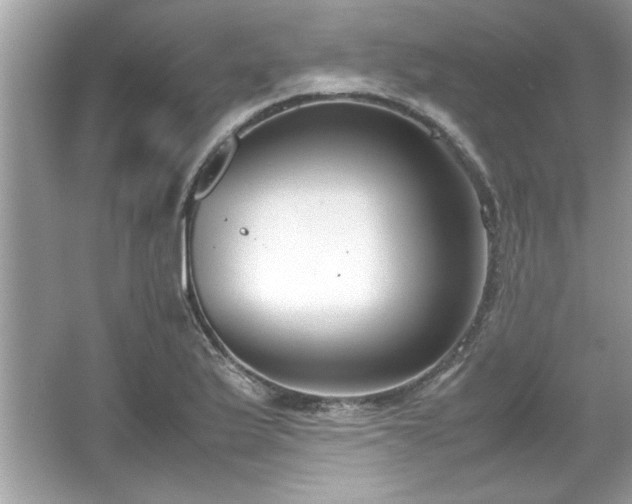 X0000067341175200604030951