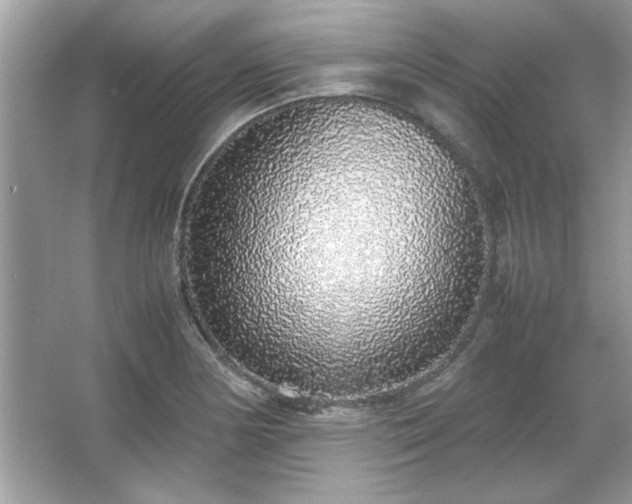 X0000067341178200604030951