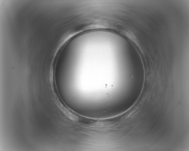 X0000067341179200604030951
