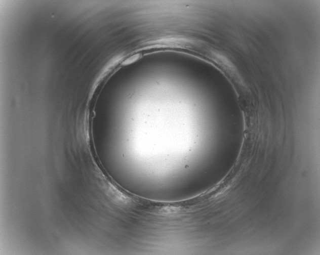 X0000067341180200604030951