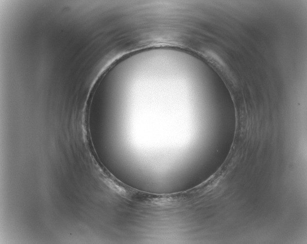 X0000067341182200604030951