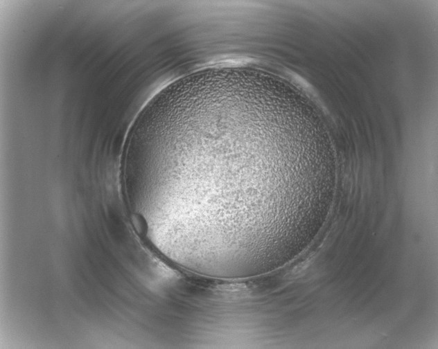 X0000067341186200604030951