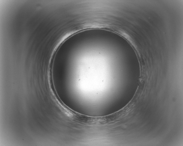 X0000067341187200604030951