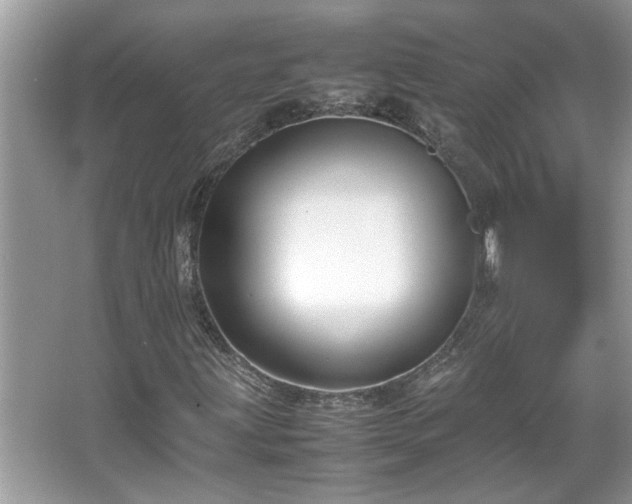 X0000067341203200604030950