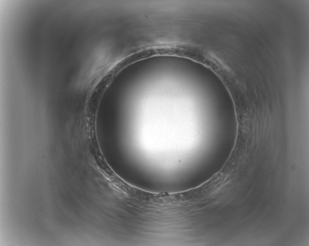 X0000067341208200604030950