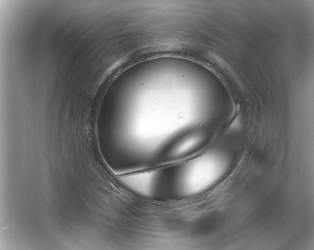 X0000067341210200604030950