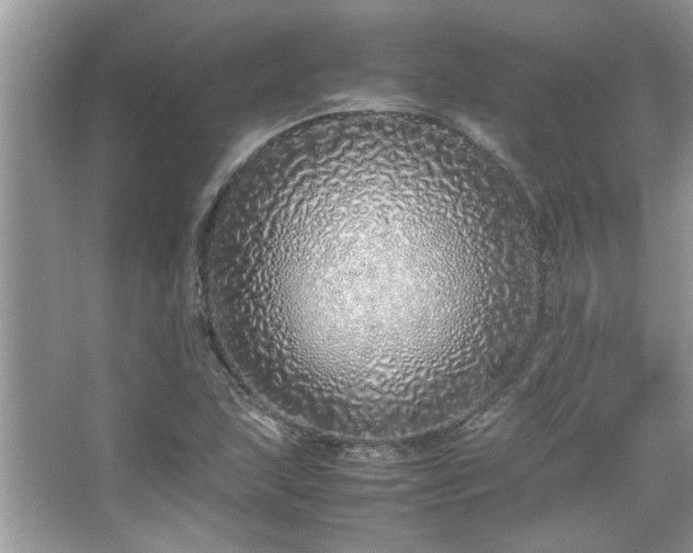 X0000067341215200604030950