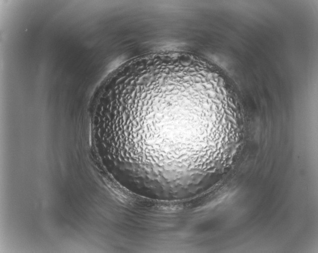 X0000067341219200604030950