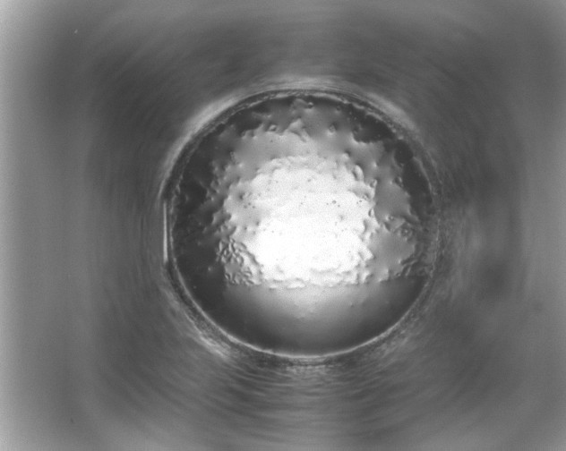 X0000067341223200604030950