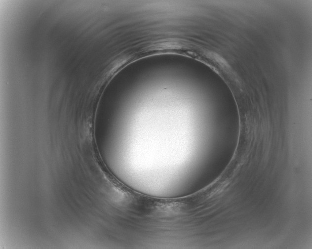 X0000067341225200604030950