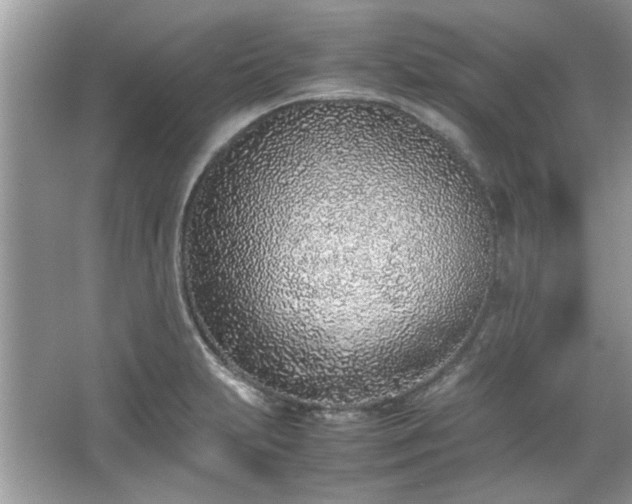X0000067341231200604030951