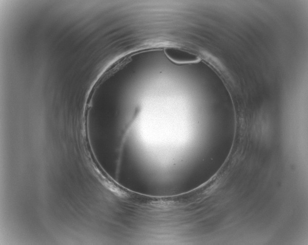 X0000067341236200604030951