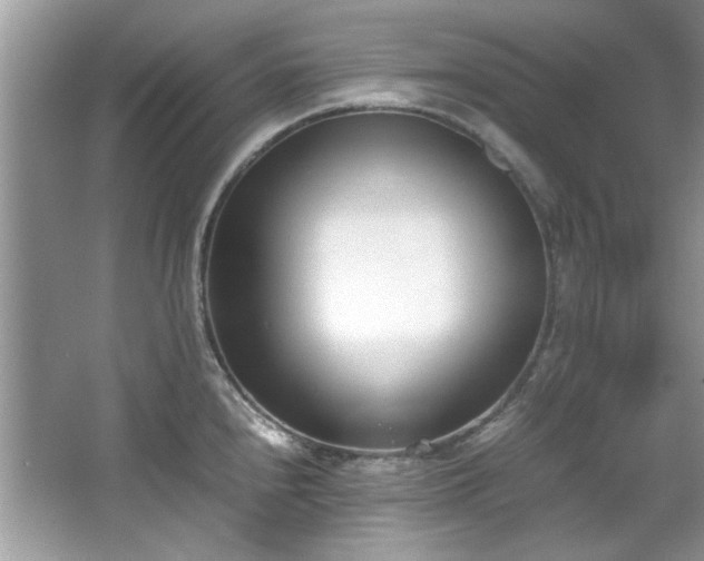 X0000067341240200604030951