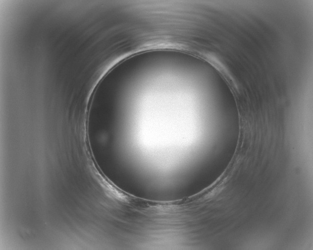 X0000067341244200604030951